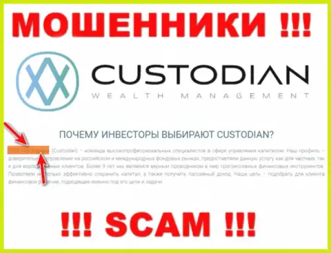 Юридическим лицом, владеющим internet-мошенниками ООО Кастодиан, является ООО Кастодиан