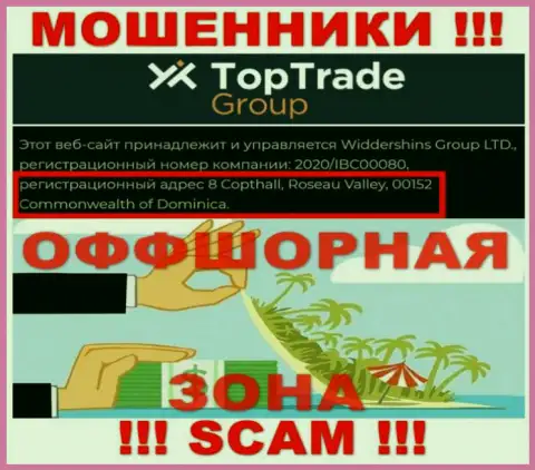 TopTradeGroup - это ЖУЛИКИ !!! Спрятались в оффшоре: 8 Copthall, Roseau Valley, 00152 Commonwealth of Dominica