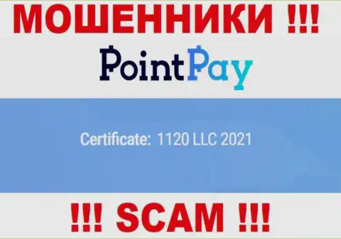 Регистрационный номер Поинт Пэй, который показан мошенниками на их онлайн-ресурсе: 1120 LLC 2021