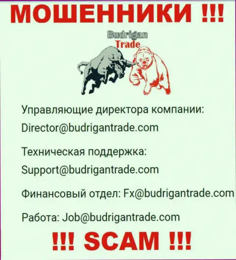 Не отправляйте сообщение на е-майл BudriganTrade - это интернет мошенники, которые крадут денежные вложения наивных людей