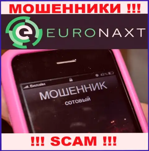 Вас пытаются раскрутить на средства, EuroNaxt Com ищут новых наивных людей