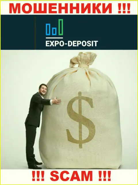 Нереально забрать назад средства с дилинговой компании Expo Depo, поэтому ни копеечки дополнительно заводить не советуем