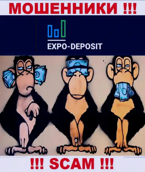 Работа с организацией Expo-Depo приносит одни лишь проблемы - будьте крайне бдительны, у internet-мошенников нет регулятора