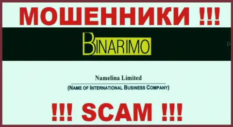 Юр лицом Бинаримо является - Namelina Limited