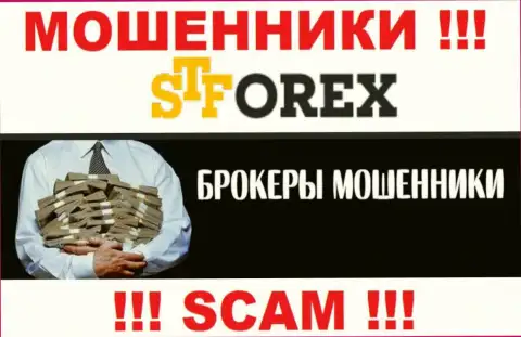 Мошенники STForex Com только лишь задуривают мозги клиентам, обещая заоблачную прибыль
