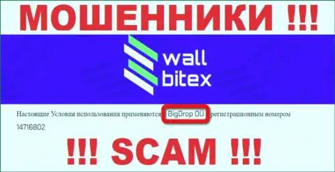 WallBitex - это КИДАЛЫ ! Управляет этим разводняком BigDrop OÜ