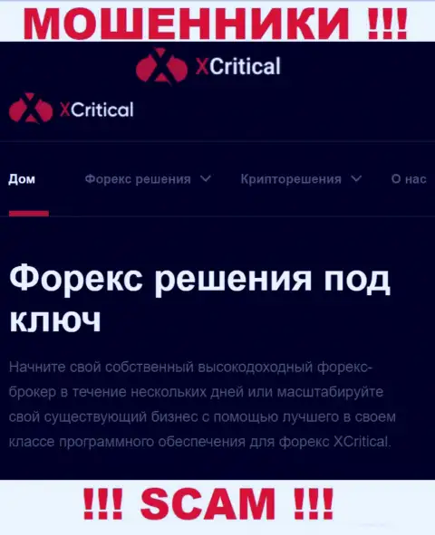 XCritical Com - это ненадежная компания, специализация которой - FOREX