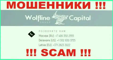 Будьте очень осторожны, вдруг если звонят с незнакомых номеров телефона, это могут быть жулики Wolfline Capital