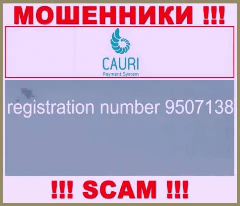 Регистрационный номер, принадлежащий противоправно действующей конторе Cauri - 9507138