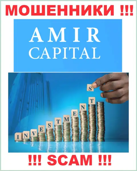 Не вводите денежные активы в Амир Капитал, род деятельности которых - Инвестиции