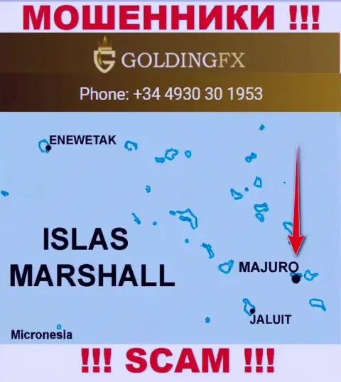 С махинатором Goldingfx InvestLIMITED слишком рискованно сотрудничать, они базируются в офшоре: Majuro, Marshall Islands